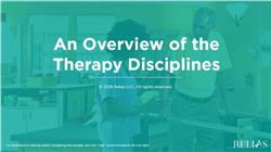 An Overview of the Therapy Disciplines