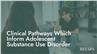 Clinical Pathways Which Inform Adolescent Substance Use Disorder