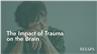 The Impact of Trauma on the Brain
