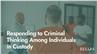 Responding to Criminal Thinking Among Individuals in Custody
